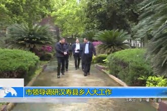 市领导调研汉寿县乡人大工作
