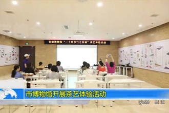 常德市博物馆开展茶艺体验活动