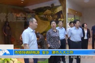 市领导调研桃源、安乡、津市人大工作