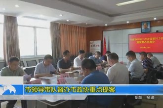 市领导带队督办市政协重点提案