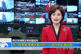石门县易家渡镇叶家坪村：小菜叶筑起富民路