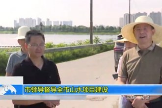 市领导督导全市山水项目建设