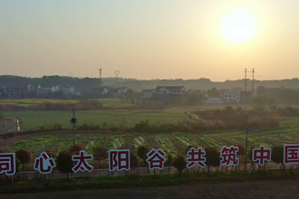 我与柳叶湖共青春 做有机农业的深耕者