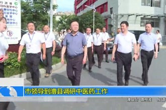 市领导到澧县调研中医药工作