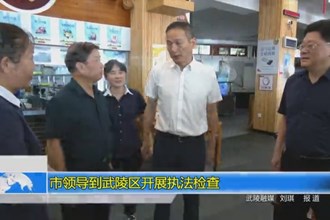 市领导到武陵区开展执法检查