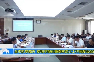 常德市抗旱减灾、耕地非粮化暨森林防火工作调度会召开