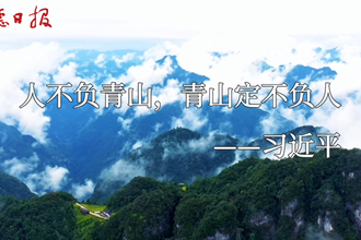 常德国有林场：归来 不负青山