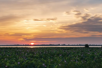 《遇见西洞庭》奋力续写“一城一园一区”新篇章！