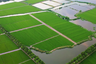 【二十四节气】立秋