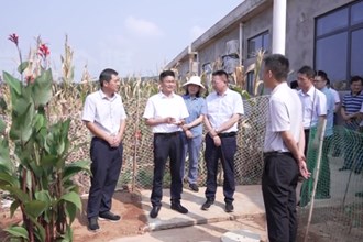 曹志强带队调研督导乡村振兴和粮食生产工作