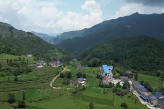 石门壶瓶山镇：绿色转型 茶叶“点绿成金”