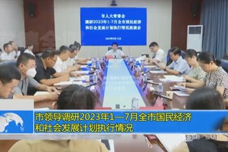 市领导调研2023年1—7月全市国民经济和社会发展计划执行情况