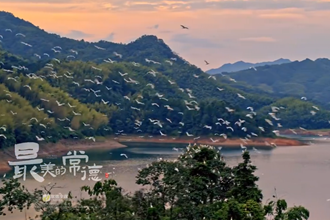 乌云界：白鹭纷飞，丹霞似锦