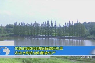 市政府调研组到桃源调研抗旱农业水利安全和粮食生产