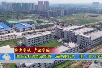 湖南宝特瑞能新能源：深耕锂电池“创”出大市场