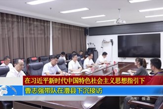 曹志强带队在澧县下沉接访