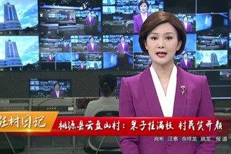 驻村日记 桃源县云盘山村：果子挂满枝 村民笑开颜