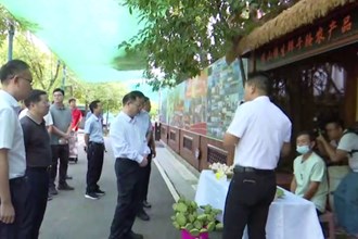 周振宇调研县域经济发展工作