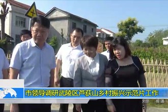 市领导调研武陵区芦荻山乡村振兴示范片工作