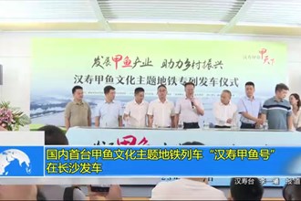国内首台甲鱼文化主题地铁列车“汉寿甲鱼号”在长沙发车