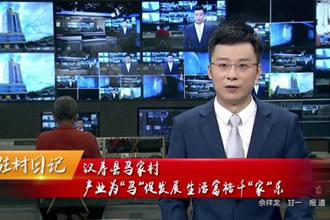 汉寿县马家村：产业为“马”促发展 生活富裕千“家”乐