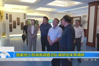 国家统计局湖南调查总队调研组来常调研