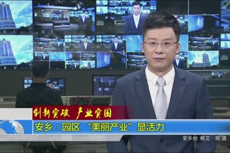 安乡：园区“美丽产业”显活力