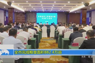 全市完成粮食面积882.4万亩