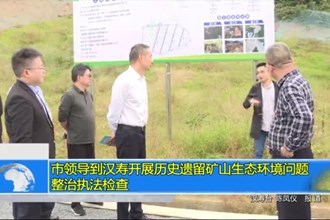 市领导到汉寿开展历史遗留矿山生态环境问题整治执法检查