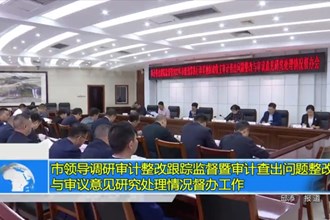 市领导调研审计整改跟踪监督暨审计查出问题整改与审议意见研究处理情况督办工作