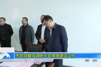 市领导督导调研平安常德建设工作