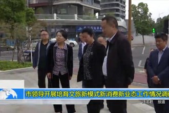 市领导开展培育文旅新模式新消费新业态工作情况调研