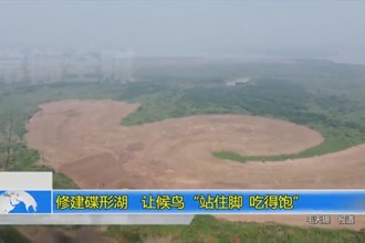 修建碟形湖 让候鸟“站住脚、吃得饱”