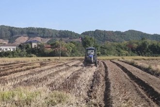 鼎城区双桥坪镇：油菜种植让“冬闲田”变“农忙田”