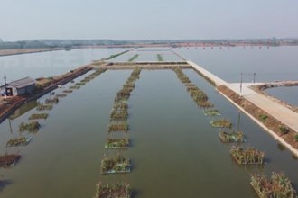 汉寿：养殖尾水治理减少总磷总氮排放近万吨