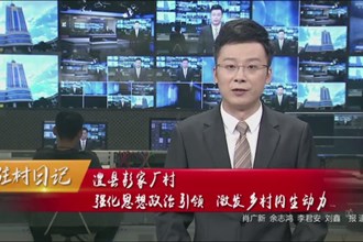 澧县彭家厂村 强化思想政治引领 激发乡村内生动力