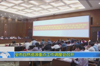 全市自然资源重点工作调度会召开