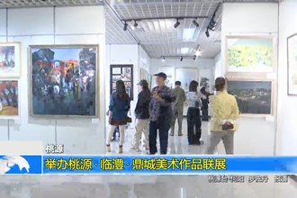 桃源：举办桃源•临澧•鼎城美术作品联展
