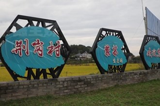 临澧荆岗村：紫苏丰产市场走俏 农民笑开颜