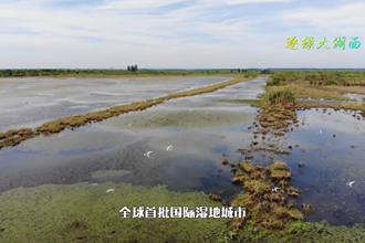 逐绿大湖西
