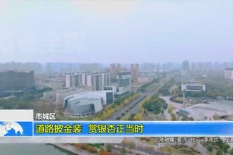 常德市城区：道路披“金装” 赏银杏正当时