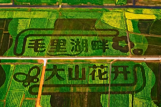津市市：蓄能 高质量发展纪实
