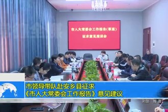 市领导带队赴安乡县征求《市人大常委会工作报告》意见建议