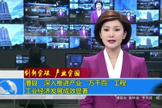 澧县：深入推进产业“万千百”工程 工业经济发展成效显著