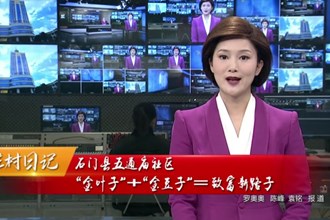 驻村日记 石门县五通庙社区： “金叶子”+“金豆子”= 致富新路子