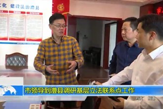 市领导到澧县调研基层立法联系点工作