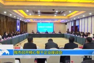常德市召开核心骨干企业座谈会