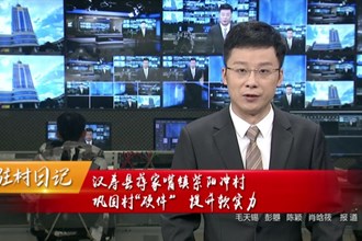驻村日记 汉寿县蒋家嘴镇紫阳冲村：巩固村“硬件” 建设新紫阳