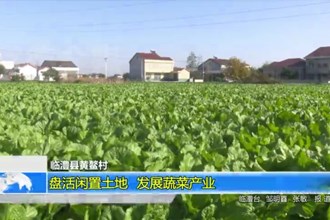 临澧县黄鳌村：盘活闲置土地 发展蔬菜产业