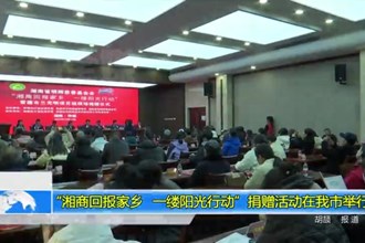 “湘商回报家乡 一缕阳光行动”捐赠活动在我市举行